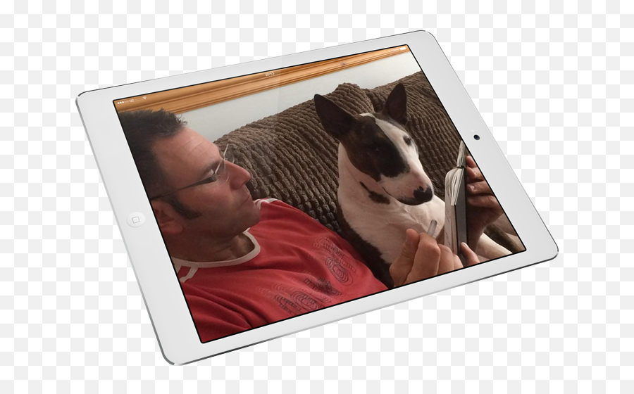 Professional Dog Walking Eastbourne - Pete U0027nu0027 Pooch Picture Frame Emoji,Bull Terrier Emoticons