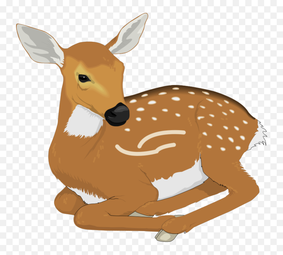 Deer Clipart Free Hunting Free Clipart - Baby Deer Clipart Emoji,Hunting Emoji