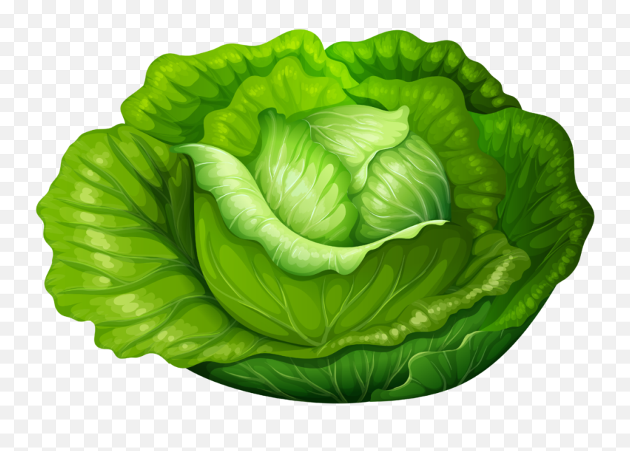 Lettuce Clipart Green Foods Lettuce - Iceberg Lettuce Clipart Emoji,Lettuce Emoji