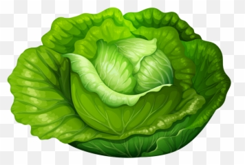 Lettuce Clipart Green Foods Lettuce - Iceberg Lettuce Clipart Emoji,Lettuce Emoji
