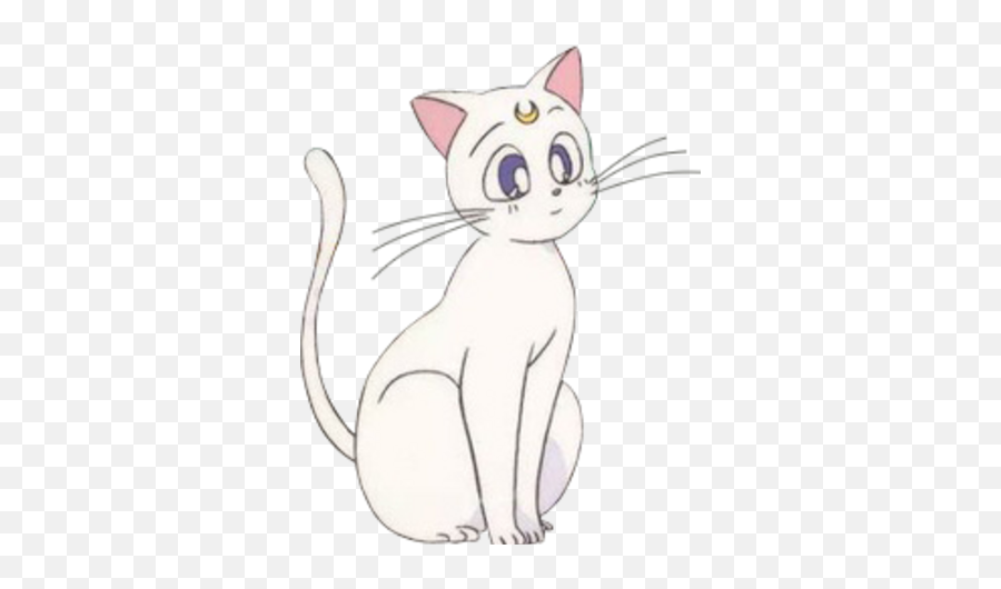 Artemis Anime Sailor Moon Wiki Fandom Emoji,Chibi Emotions Sailor Moon