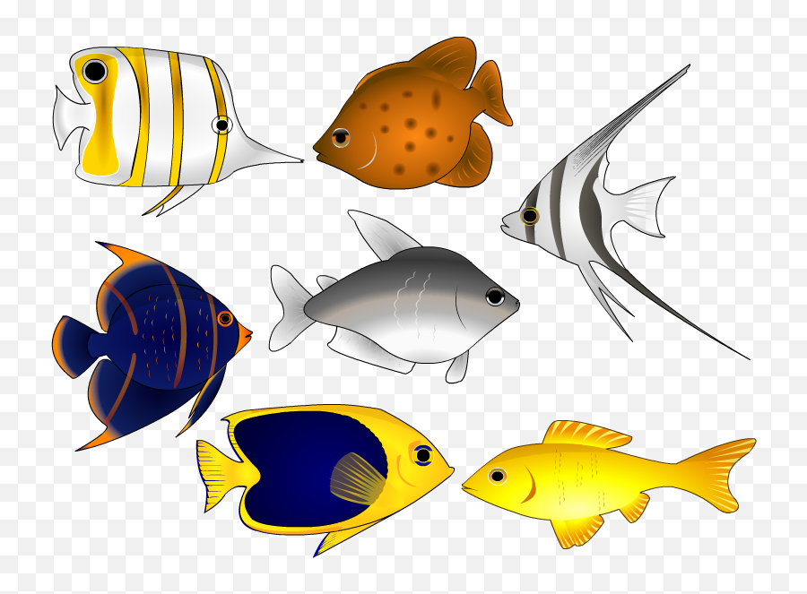 Download Fish Vector Art Clipart - Fish Vector Emoji,Coral Emoji