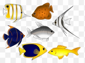 Download Fish Vector Art Clipart - Fish Vector Emoji,Coral Emoji