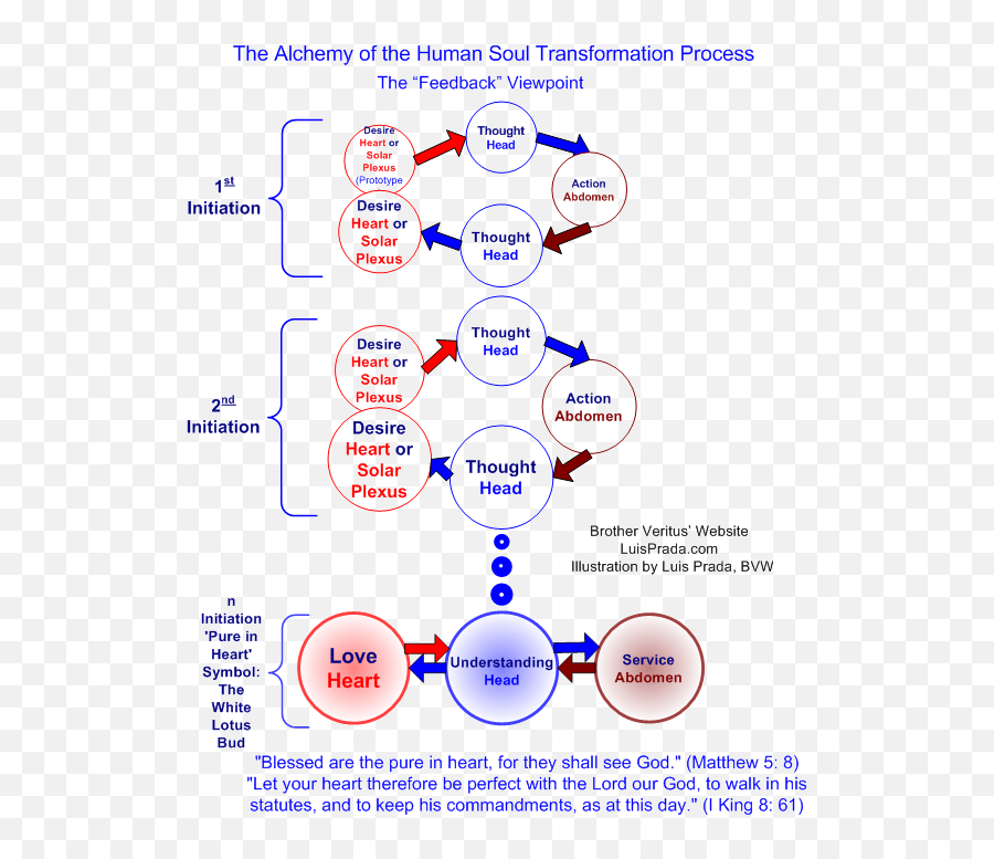 Alchemical Transmutation Brother Veritusu0027 Website - Circulos De Transmutacion Y Quimica Emoji,Wheelo F Emotions