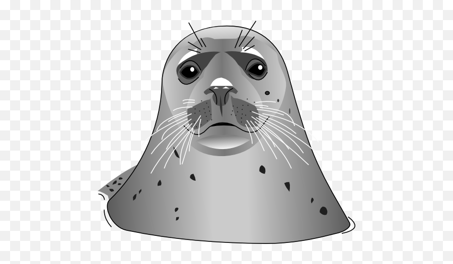 Seal Clipart I2clipart - Royalty Free Public Domain Clipart Grey Seal Clipart Emoji,Cute Seal Emoticons