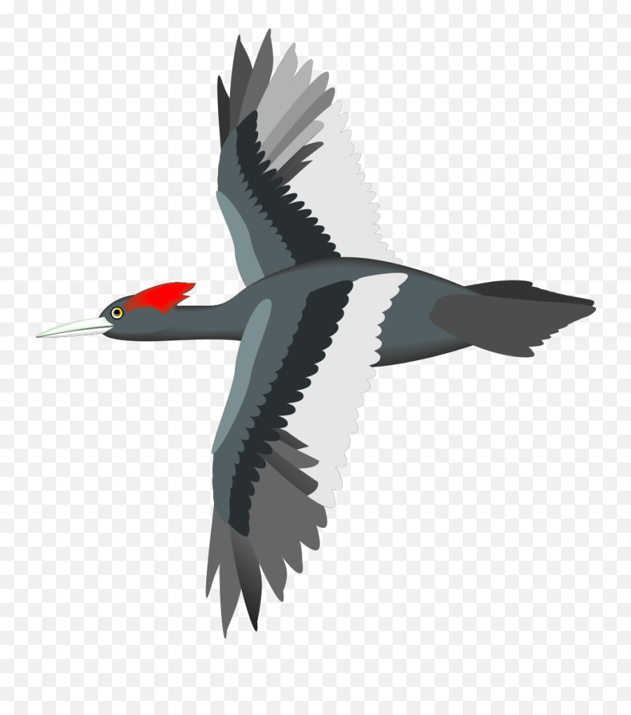 Flying Bird Png Svg Clip Art For Web - Download Clip Art Vector Bird Flying Png Emoji,Flying Bird Emoji