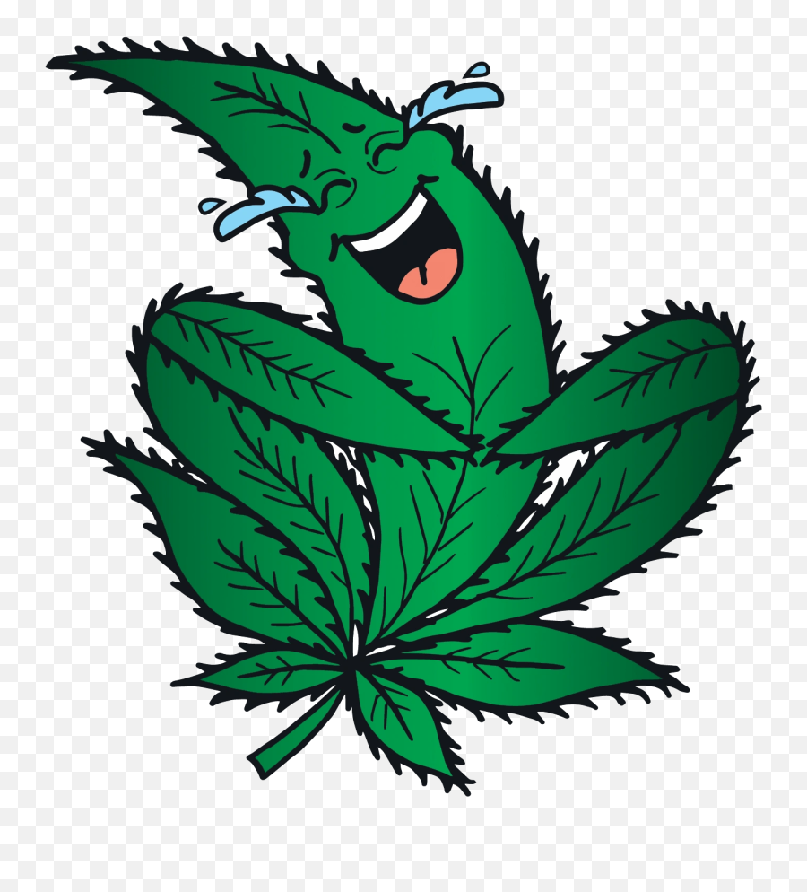 Camp Laughing Grass - Cannabis Friendly Campground River Camp Laughing Grass Emoji,Laughing & Crying Emoji