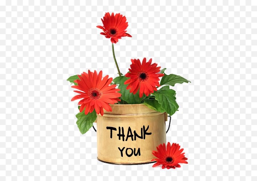 34 Thanks Ideas Thank You Images Thank You Quotes Thank - Flower Full Emoji,Faces Of Pampered Chef Emojis