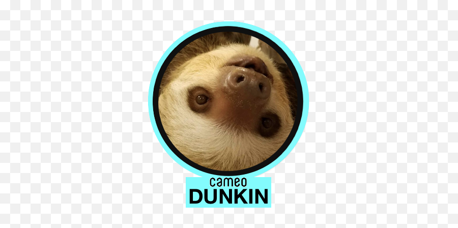 Virtual Zoo - Staten Island Zoo Emoji,No Words Just Emotions Sloth