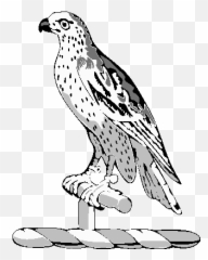 Falcon Clipart 7 Falcon Clipart Fans - Falcon Clipart Black And White Emoji,Falcons Emoji
