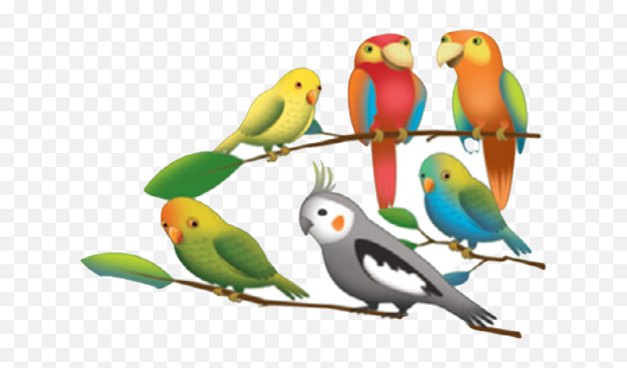 Everybody Up 0 Starter Unit 5 Animals - Sharing Emoji,Parakeet Emoji