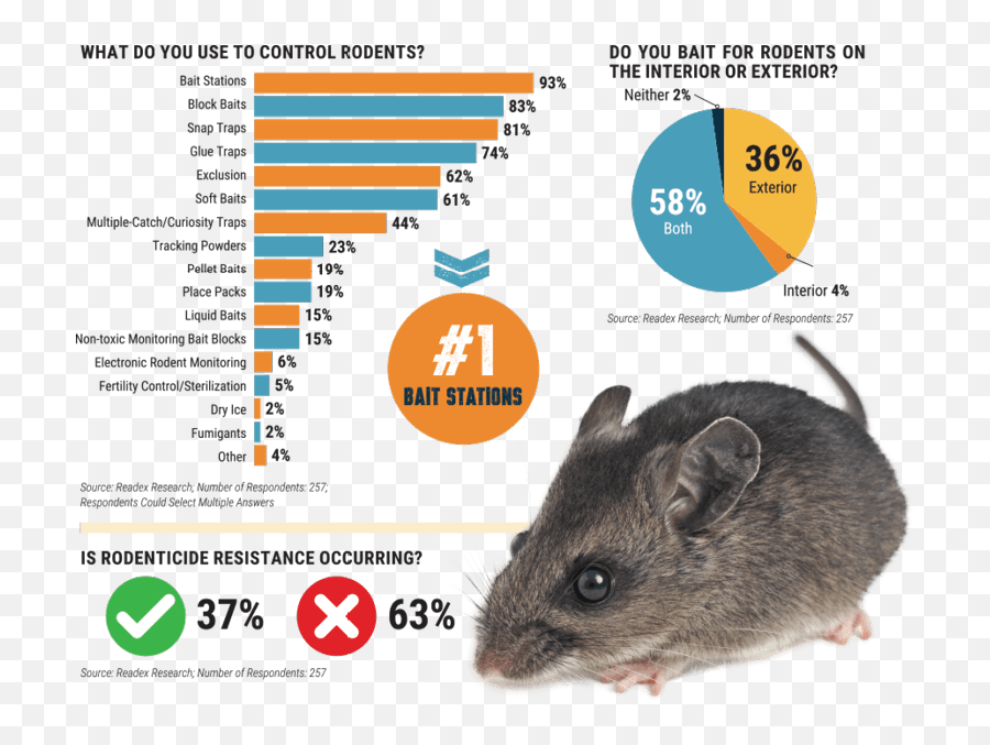 2020 State Of The Rodent Market Report Playing And Winning - Brown Rat Emoji,Rat Faces Emotions