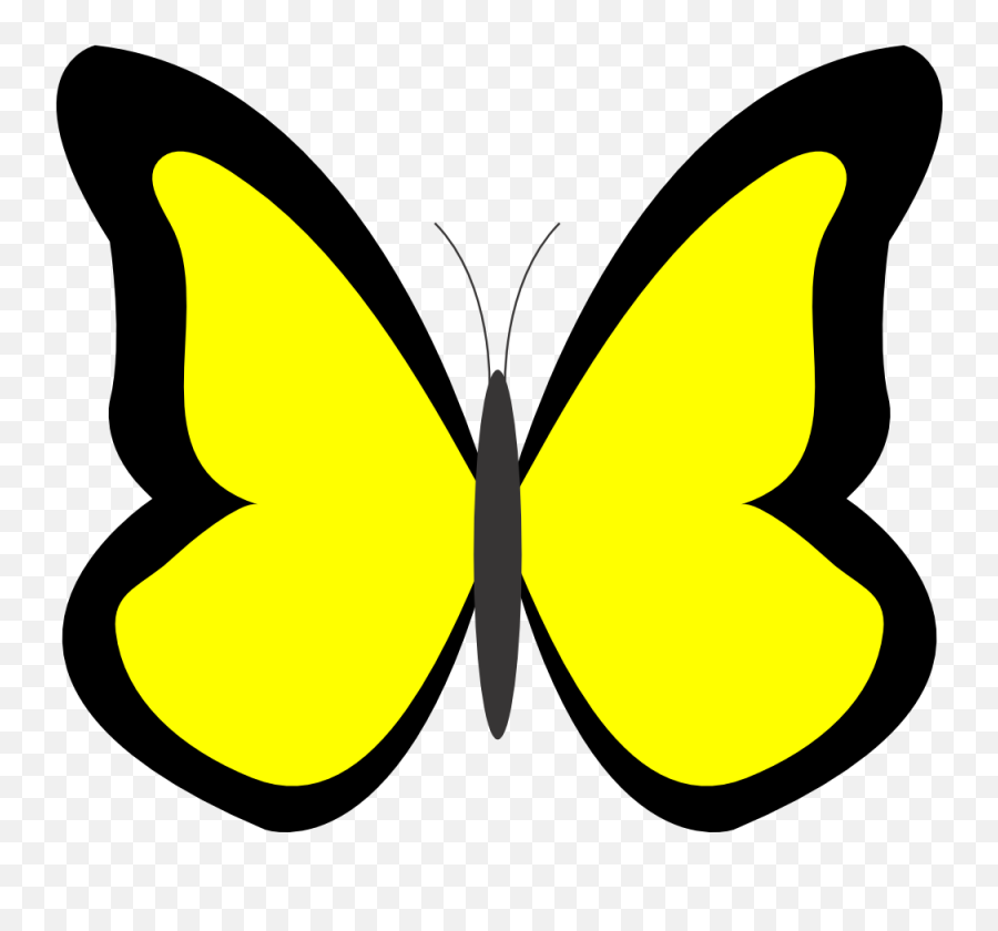 Butterflies Cartoon Butterfly Hd Image - Green Butterfly Clipart Emoji,L Black Swallowtail Butterfly!! Smile Emoticon