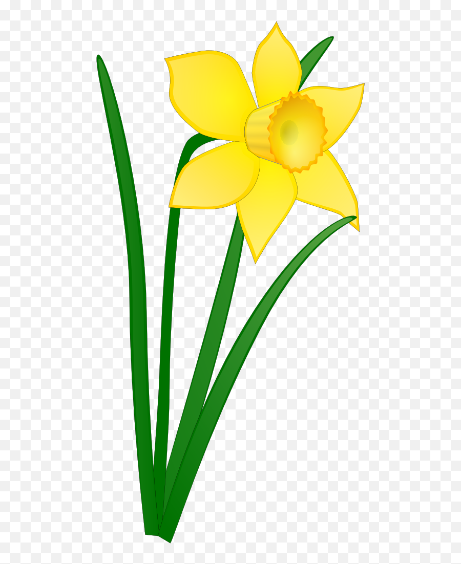Daffodil Clipart Leek Daffodil Leek - Clip Art Daffodil Emoji,Leek Emoji