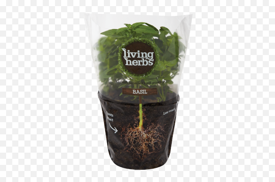 Basil Leaf Pot Living Herbs Png Png Mart Emoji,Herb Emojis