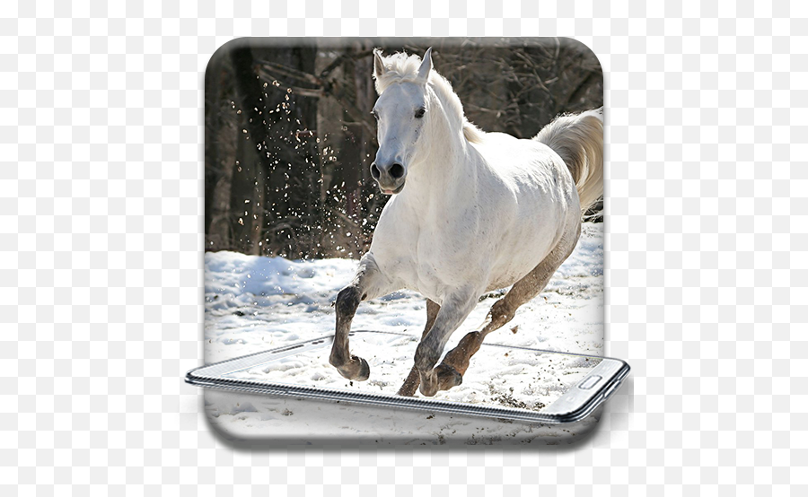 Running Horse Pictures And Live - White American Quarter Horse Emoji,Horse Emoji App