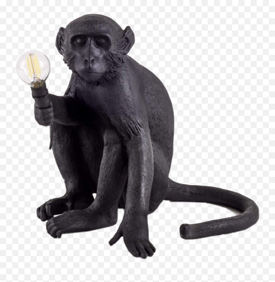 Monkey Petsandanimals Black Sticker - Seletti Animal Lamp Emoji,Sitting Monkey Emoji