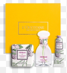 Loccitane Uk - Solvent In Chemical Reactions Emoji,Bonne Bell Bottled Emotion Perfume