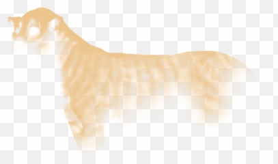 Lioden - Animal Figure Emoji,Lion Showing Emotion