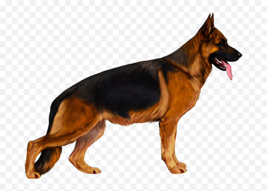German Shepherd Png - German Shepherd Dog Logo Design Emoji,How To Tell German Shepherds Emotions By Their Ears