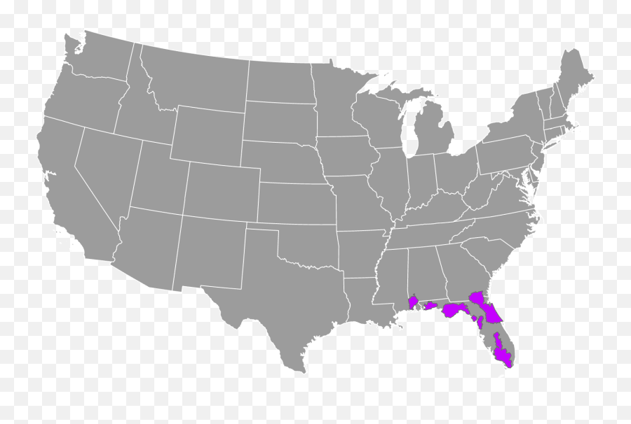 Florida Black Bear - Wikiwand Electoral College Results Emoji,African Wild Dog Ears Emotions