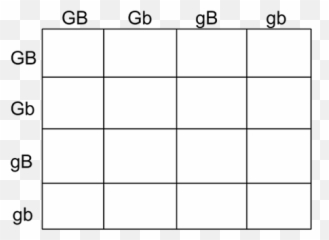 The Genetics Of Eye Color - Solid Emoji,Simplifying Fractions Winking Emoji Worksheet