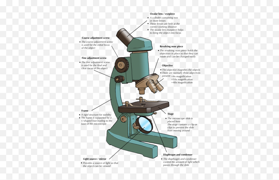 Difference Between Plant And Animal Emoji,Scientist Water Under Telescope Emotion Dr.