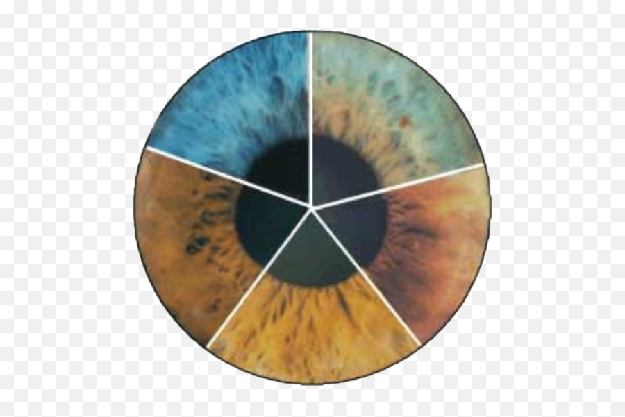 Atri Wilson Is - Iridology Eye Color Chart Emoji,Charts Irridology Reflexology Emotions
