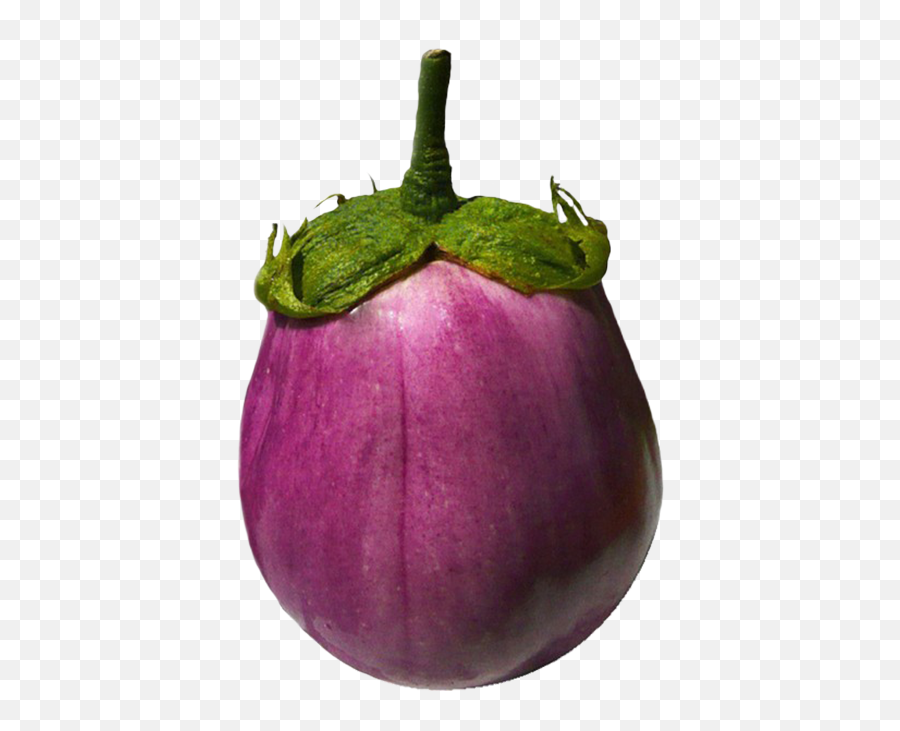 Vegetables Clipart - Single Vegetables Images Png Emoji,Emoji Eggplant Or Squash