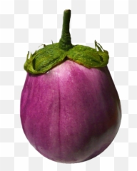 Vegetables Clipart - Single Vegetables Images Png Emoji,Emoji Eggplant Or Squash