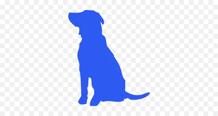 Full - Service Video Production Company Daytona Beach Blue Animated Blue Dog Emoji,Cartoon Dog Emotions Chart
