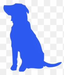 Full - Service Video Production Company Daytona Beach Blue Animated Blue Dog Emoji,Cartoon Dog Emotions Chart