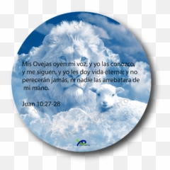 Versos Biblicos Mensajes Cristianos Sticker Biblia Decal Calcomania Size 375 Ebay Emoji,Emoji Game Korean Flag Phone Tv