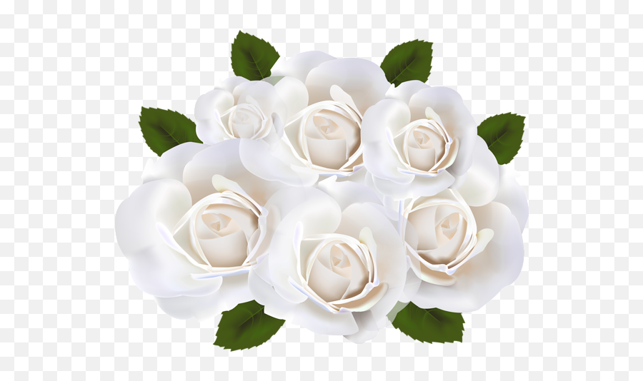 White Roses Png Clip Art Transparent - Transparent Background White Roses Png Emoji,Shrub Emoji