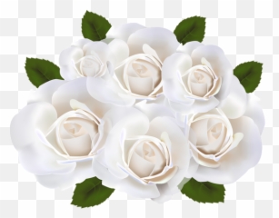 White Roses Png Clip Art Transparent - Transparent Background White Roses Png Emoji,Shrub Emoji