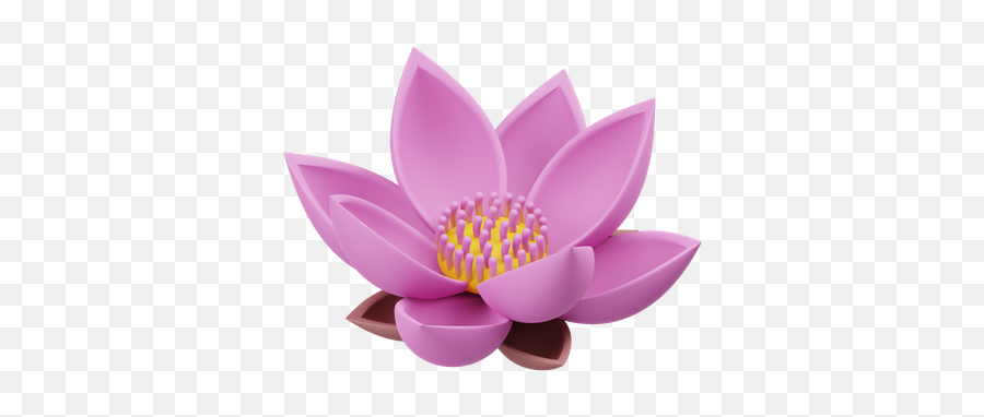 Premium Lotus 3d Illustration Download In Png Obj Or Blend Emoji,Lotus Discord Emoji