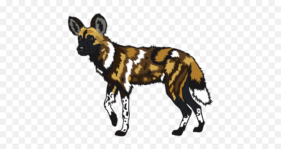 African Wild Dog Free Png Png Play Emoji,Wild Emoji