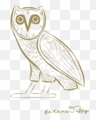 Drake Owl Wallpaper Posted - Buho De Drake Png Emoji,How To Get Drake Owl Emoji