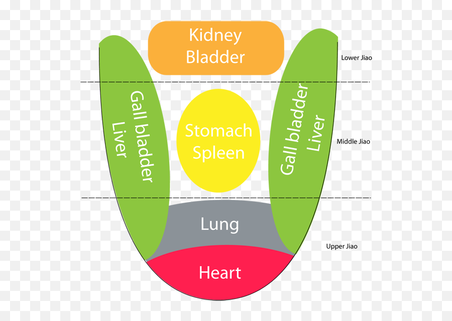 What Your Tongue - Tongue Related To Body Emoji,Spleen Chinese Medicine Emotions