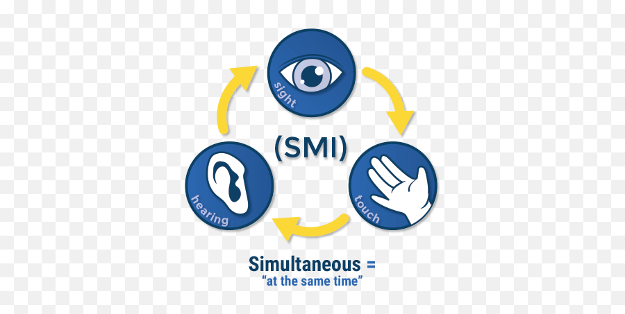 Multisensory Teaching For Reading And - Multi Sensory Approach Emoji,Multisensory Emotion