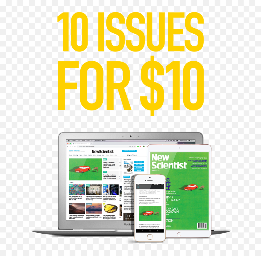 Why Weu0027re Funny About Facts And Prefer Emotions New Scientist - Free Cash Flow Infographic Emoji,Web Of Emotions Why Weu0027re Funny About Facts And Prefer Emotions New Scientist - Free Cash Flow Infographic Emoji,Web Of Emotions
