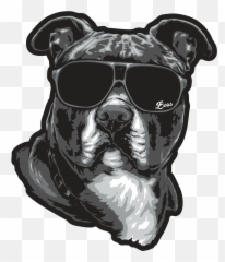 Staffordshire Bull Terrier Png Download - Staffordshire Bull Terrier Head Png Emoji,Dog Ptbull Emojis