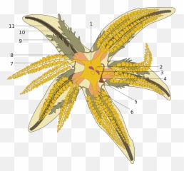Diagram - Huludun Park Emoji,Emotion Odb2 Chevy Volt
