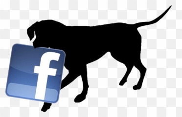 Veterinary Clinic In Monroe Nc Monroe Animal Hospital Emoji,Facebook Emoticon For Did You Know