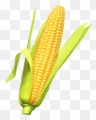The Most Edited - Corn Png Emoji,Corncob Emoji