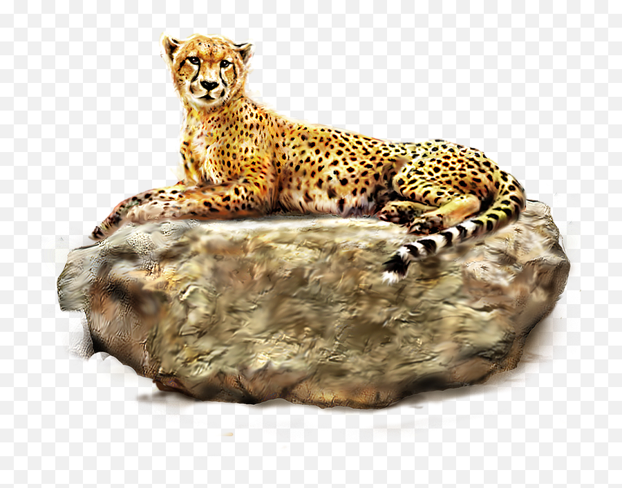 Jaguar Clipart Chita Jaguar Chita - Cheetahs Png On Transparent Background Emoji,Jaguar Emoji