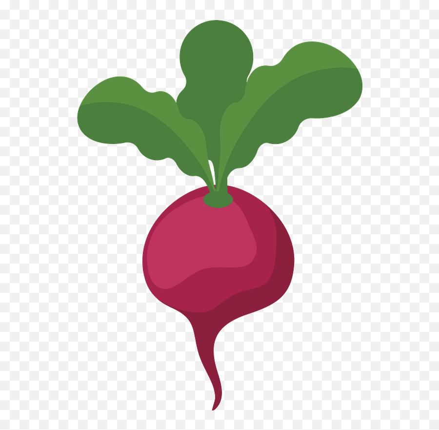 Radish Clipart - Beetroot Clipart Emoji,Radish Emoji