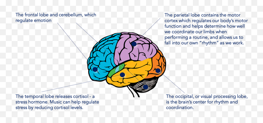 Music Is A Performance - Enhancing Substance And Its Mostly Art Brain Emoji,Emotions In Brain Scans