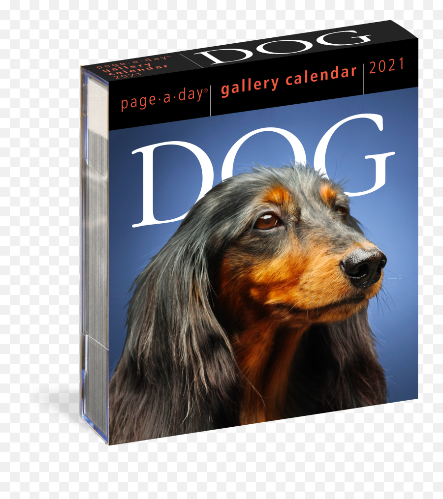 Dog Gallery Desk Calendar - 2021 Gallery Calendar Emoji,Dog Dog Heart Emoji Puzzle