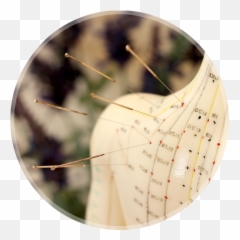 Acupuncture Benefits For Depression Louisville Acupuncture - Much Does Acupuncture Cost Emoji,Acupuncture Emotions Organs